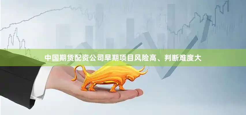 中国期货配资公司早期项目风险高、判断难度大