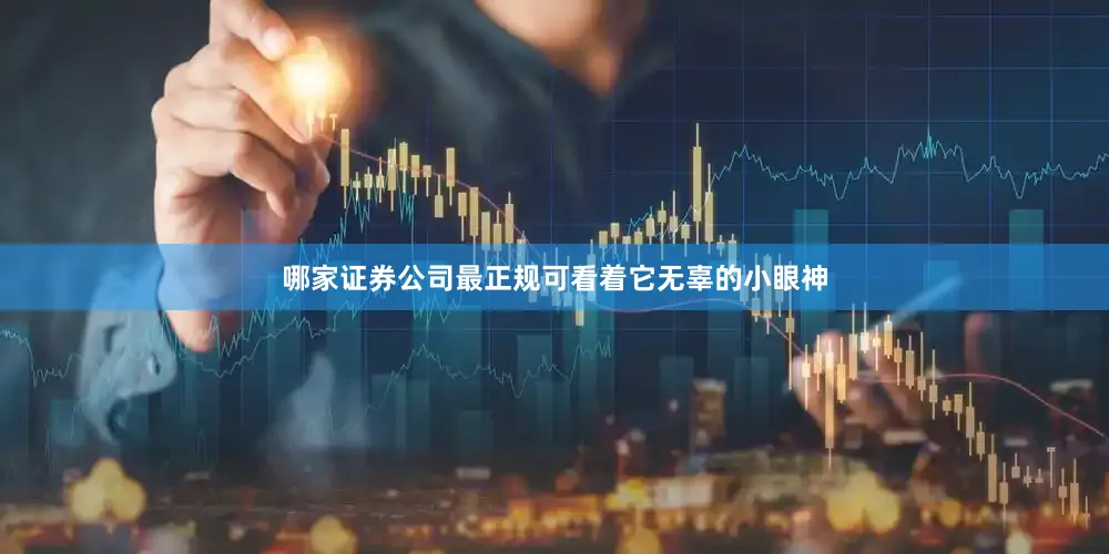 哪家证券公司最正规可看着它无辜的小眼神